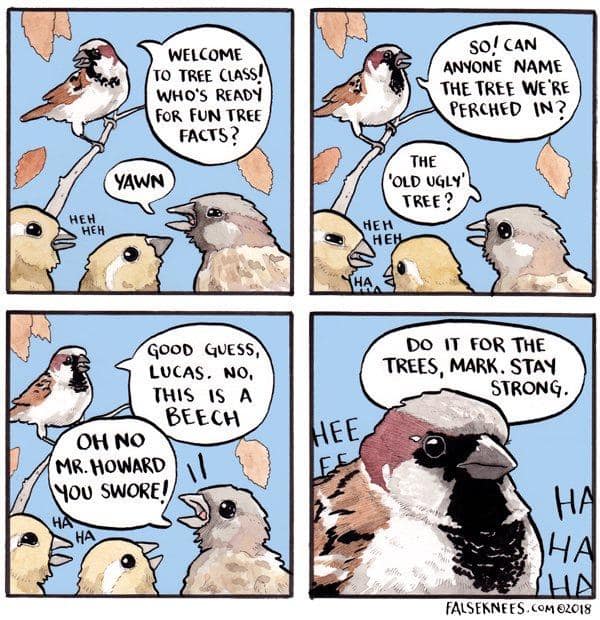 falseknees, falseknees comics, false knees, false knees comics, Webcomics, Surreal humor