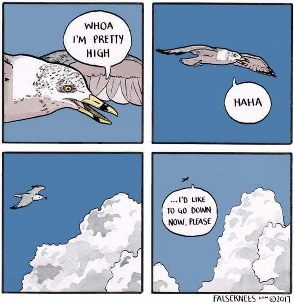 falseknees, falseknees comics, false knees, false knees comics, Webcomics, Surreal humor