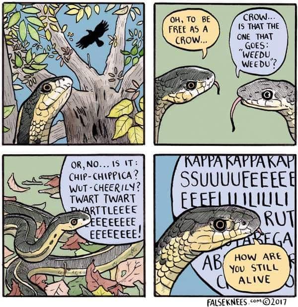 falseknees, falseknees comics, false knees, false knees comics, Webcomics, Surreal humor
