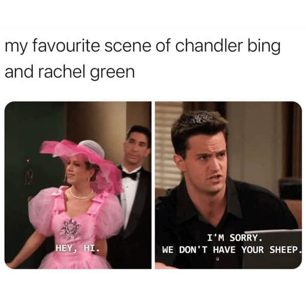 friends memes, funny friends moments, chandler memes, Memes about Friends TV show