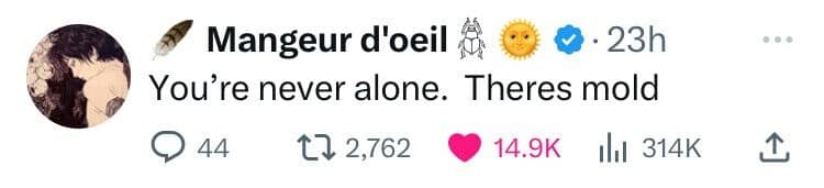 You're never alone. Theres mold