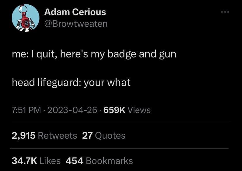 me: I quit, here's my badge and gun head lifeguard: your what