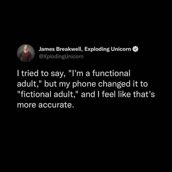 I tried to say, "I'm a functional adult," but my phone changed it to "fictional adult," and I feel like that's more accurate.