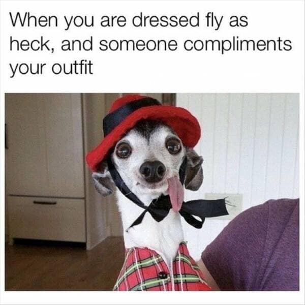 When you are dressed fly as heck, and someone compliments your outfit
