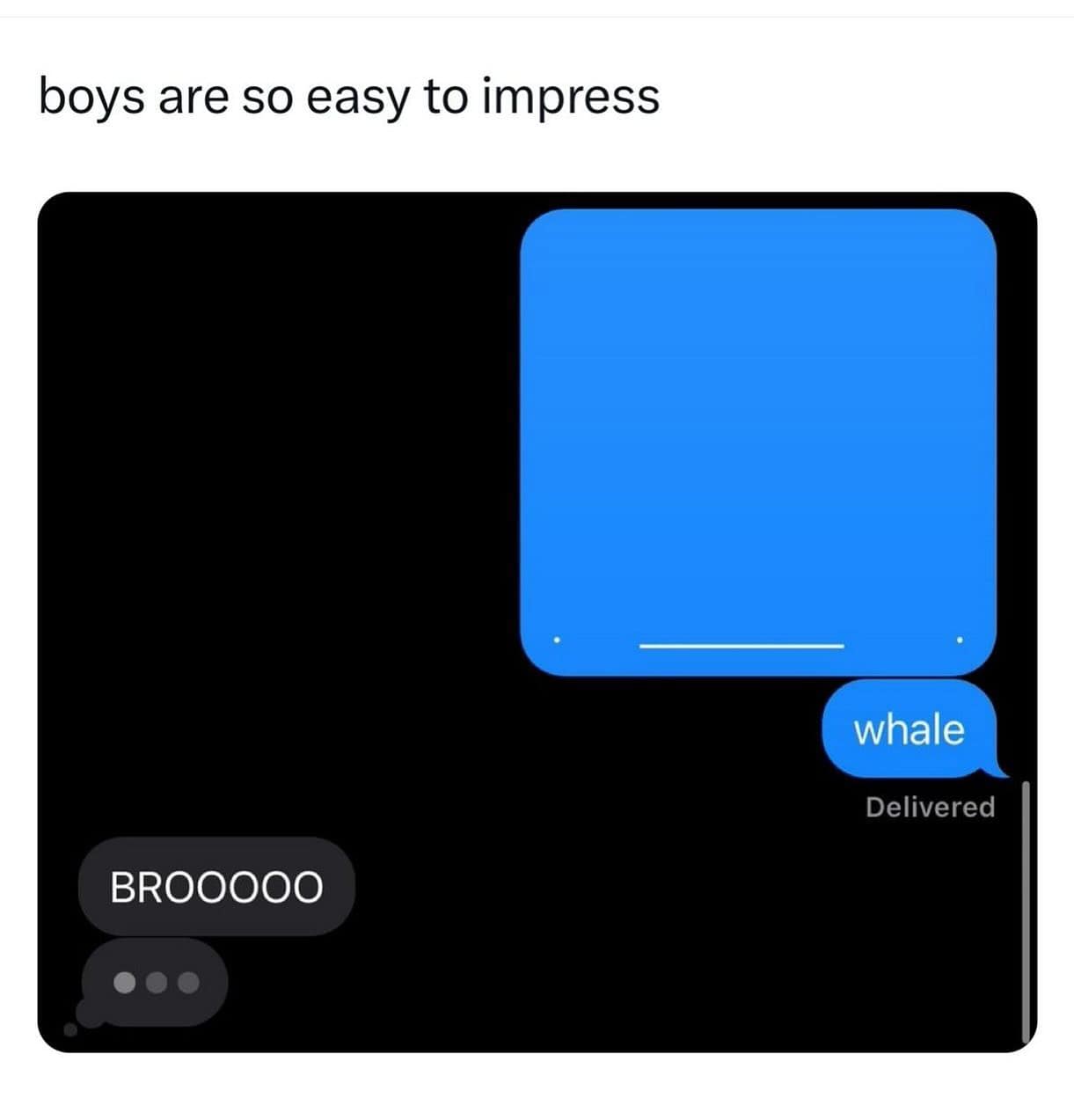 boys are so easy to impress whale Delivered BRO0000