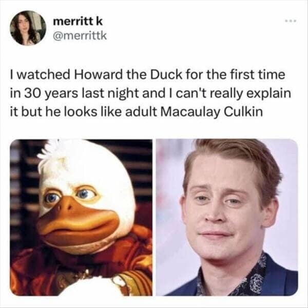 I watched Howard the Duck for the first time in 30 years last night and I can't really explain it but he looks like adult Macaulay Culkin