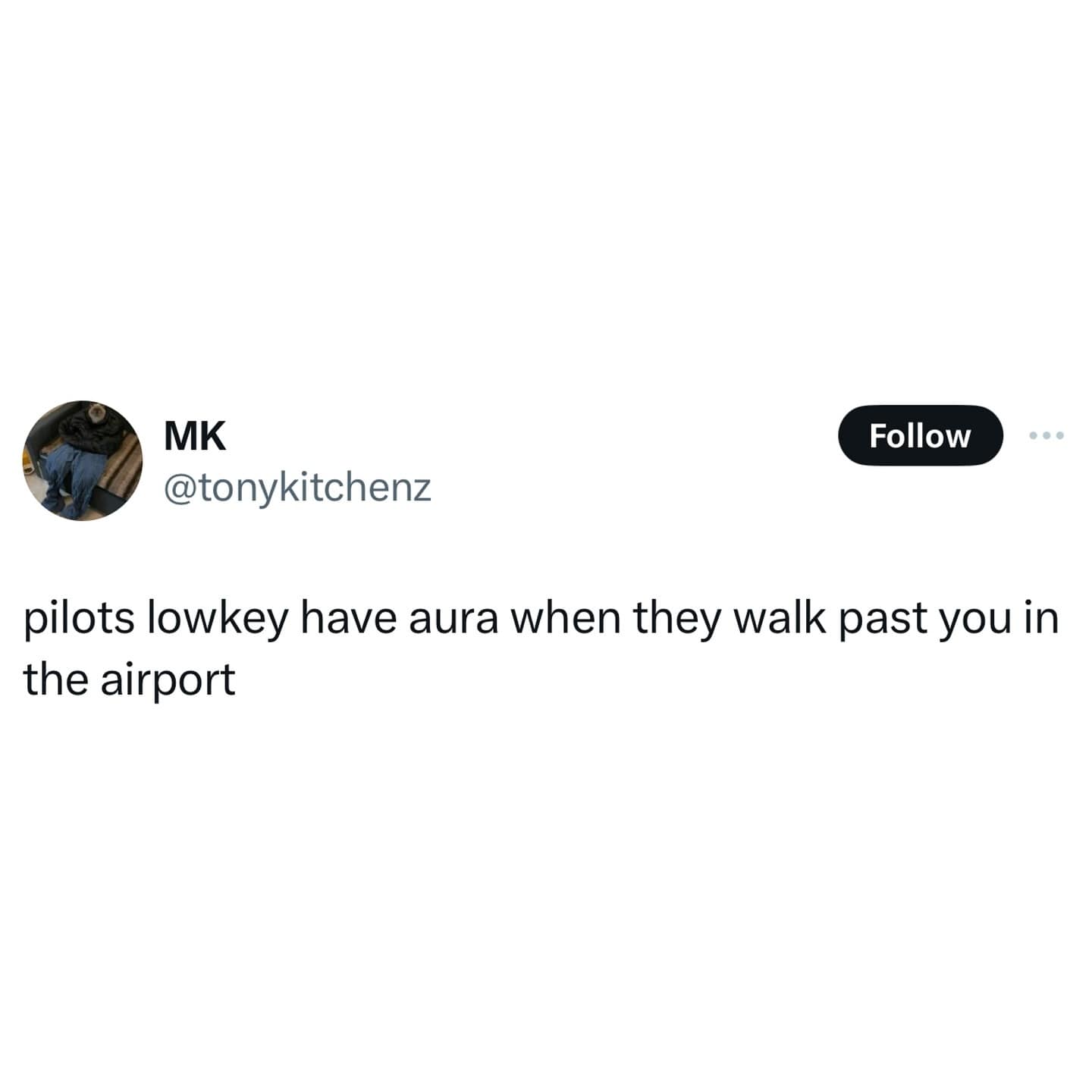 pilots lowkey have aura when they walk past you in the airport