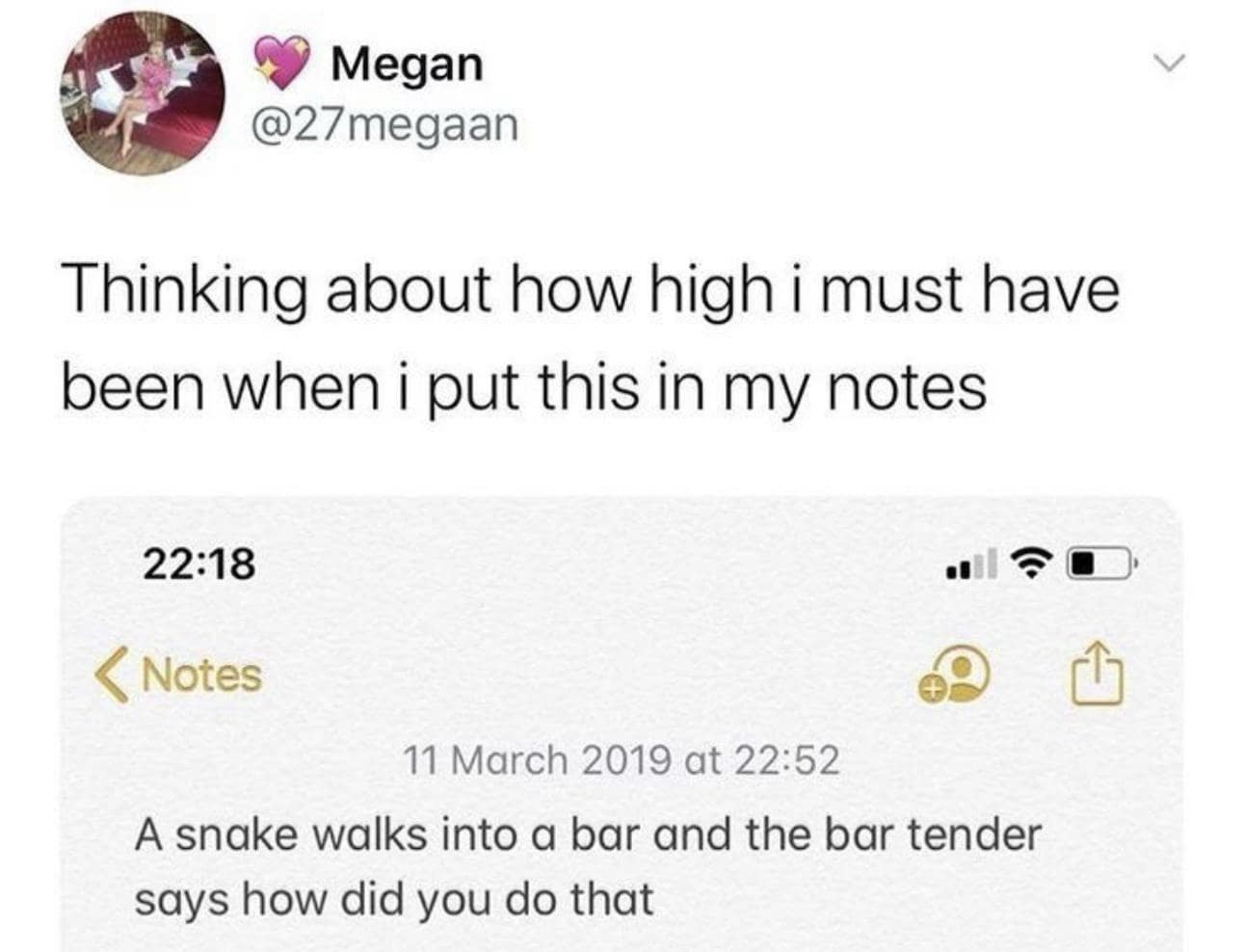 A snake walks into a bar and the bar tender says how did you do that