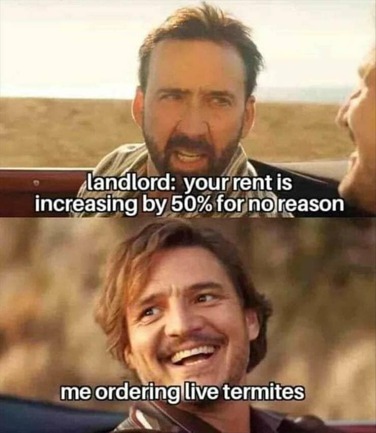 landlord: your rent is increasing by 50% for no reason me ordering live termites