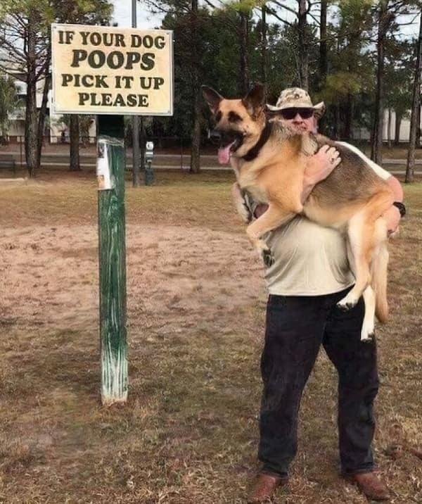 funny puns, wordplay, silly puns, stupid puns, pun jokes, groan-worthy humor, cheesy jokes, funny wordplay