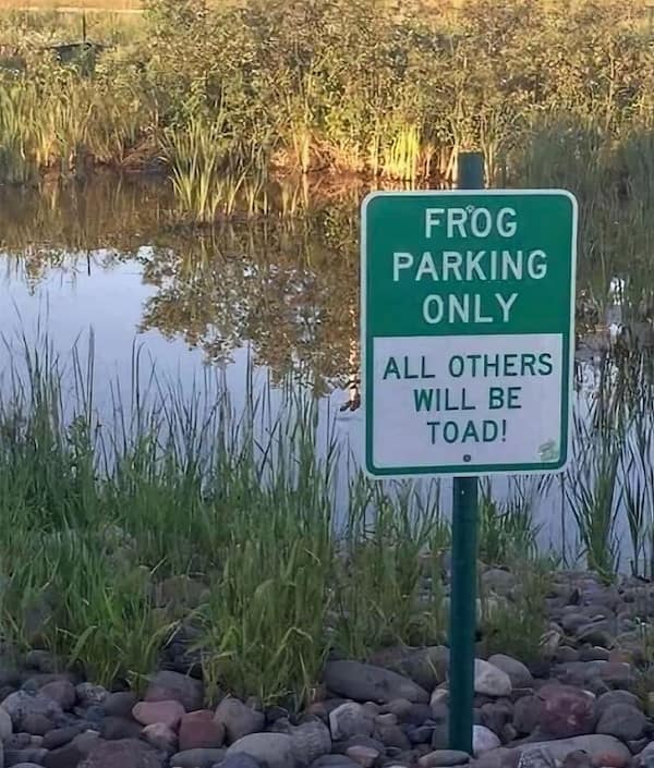 funny puns, wordplay, silly puns, stupid puns, pun jokes, groan-worthy humor, cheesy jokes, funny wordplay