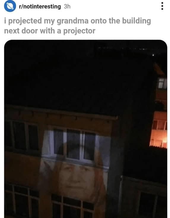 funny reddit posts, funny reddits, Hilarious Reddit content, Weird Reddit, Reddit finds