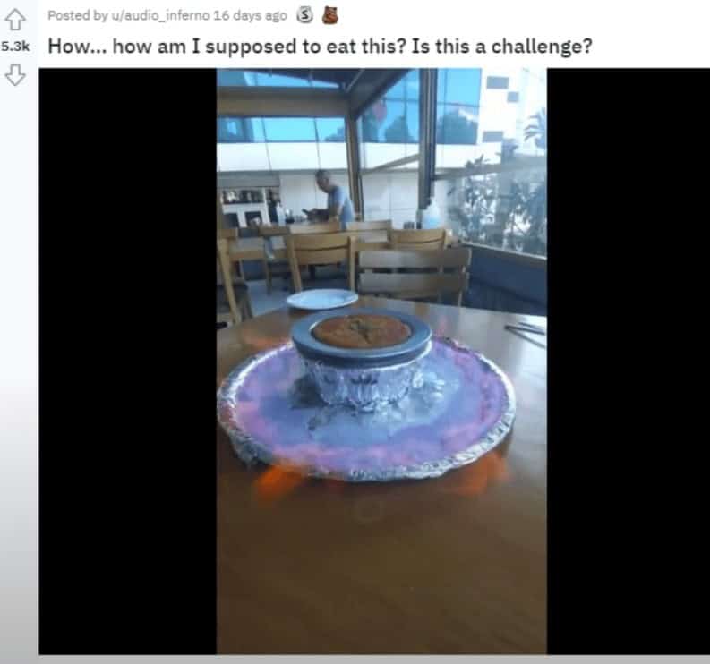 funny reddit posts, funny reddits, Hilarious Reddit content, Weird Reddit, Reddit finds