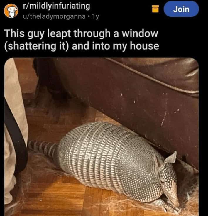 funny reddit posts, funny reddits, Hilarious Reddit content, Weird Reddit, Reddit finds