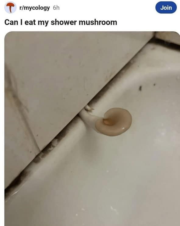 funny reddit posts, funny reddits, Hilarious Reddit content, Weird Reddit, Reddit finds