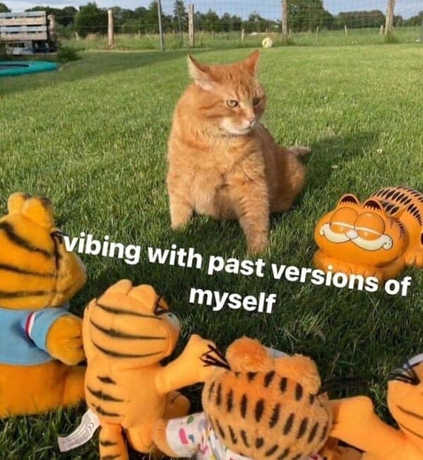 Garfield memes, Funny cat memes, Lasagna memes, Monday memes