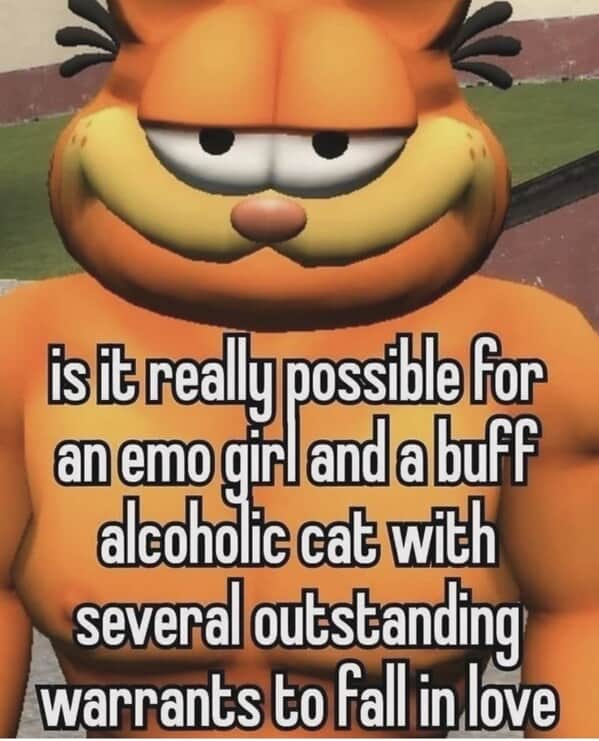 Garfield memes, Funny cat memes, Lasagna memes, Monday memes