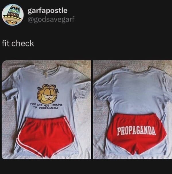 Garfield memes, Funny cat memes, Lasagna memes, Monday memes