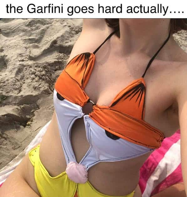 Garfield memes, Funny cat memes, Lasagna memes, Monday memes