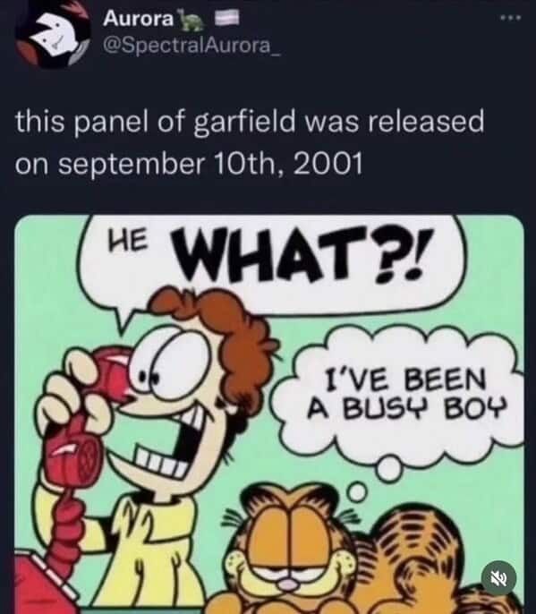 Garfield memes, Funny cat memes, Lasagna memes, Monday memes