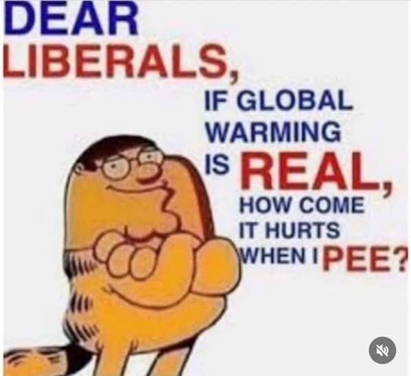 Garfield memes, Funny cat memes, Lasagna memes, Monday memes