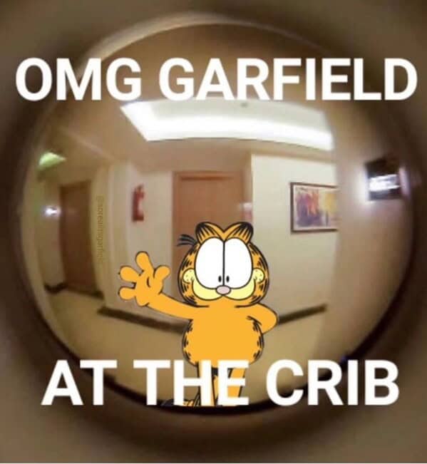 Garfield memes, Funny cat memes, Lasagna memes, Monday memes