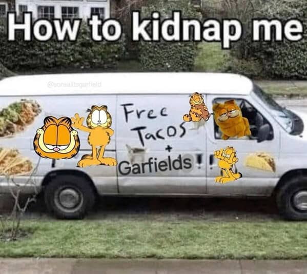 Garfield memes, Funny cat memes, Lasagna memes, Monday memes