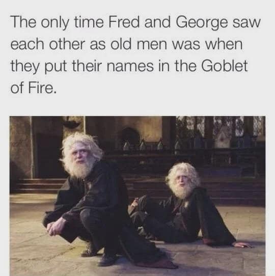 Harry Potter memes, funny Harry Potter memes, Hogwarts memes, Potterhead memes, wizarding world jokes