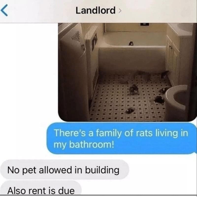 landlord memes, renter memes, funny landlord memes, tenant memes, rent memes, tenant humor, rent struggle memes, renting jokes, housing memes, tenant woes, rental jokes