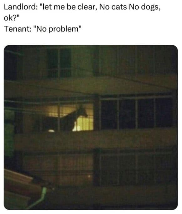 landlord memes, renter memes, funny landlord memes, tenant memes, rent memes, tenant humor, rent struggle memes, renting jokes, housing memes, tenant woes, rental jokes