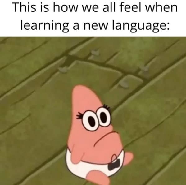 language memes, polyglot memes, multilingual memes, funny language memes, language learning memes, funny foreign language moments, anguage struggles, grammar mistakes humor, translation humor