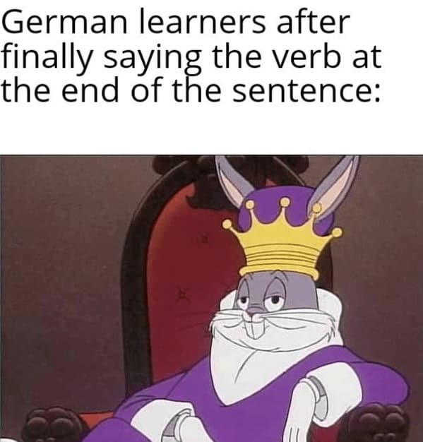 language memes, polyglot memes, multilingual memes, funny language memes, language learning memes, funny foreign language moments, anguage struggles, grammar mistakes humor, translation humor