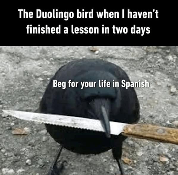 language memes, polyglot memes, multilingual memes, funny language memes, language learning memes, funny foreign language moments, anguage struggles, grammar mistakes humor, translation humor