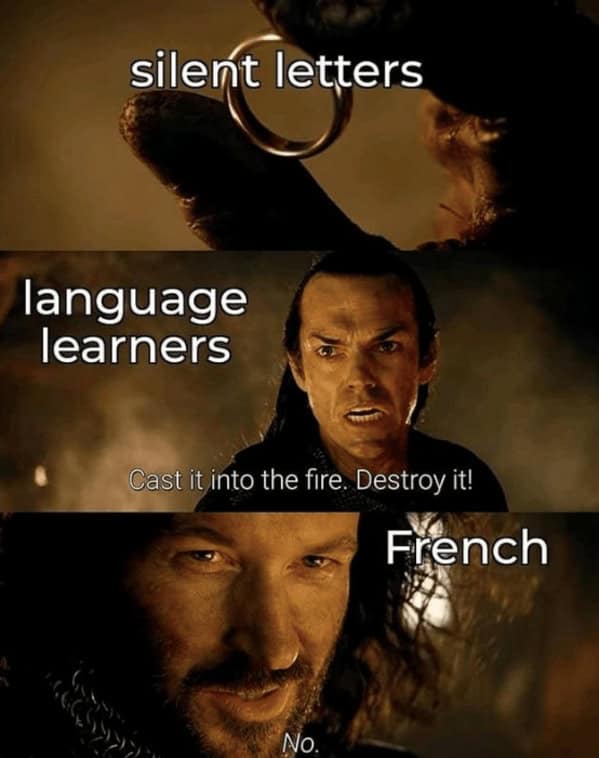 Language Memes: 40 Memes For The Multilinguals