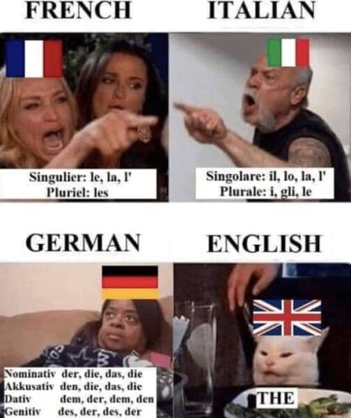 Language Memes: 40 Memes For The Multilinguals