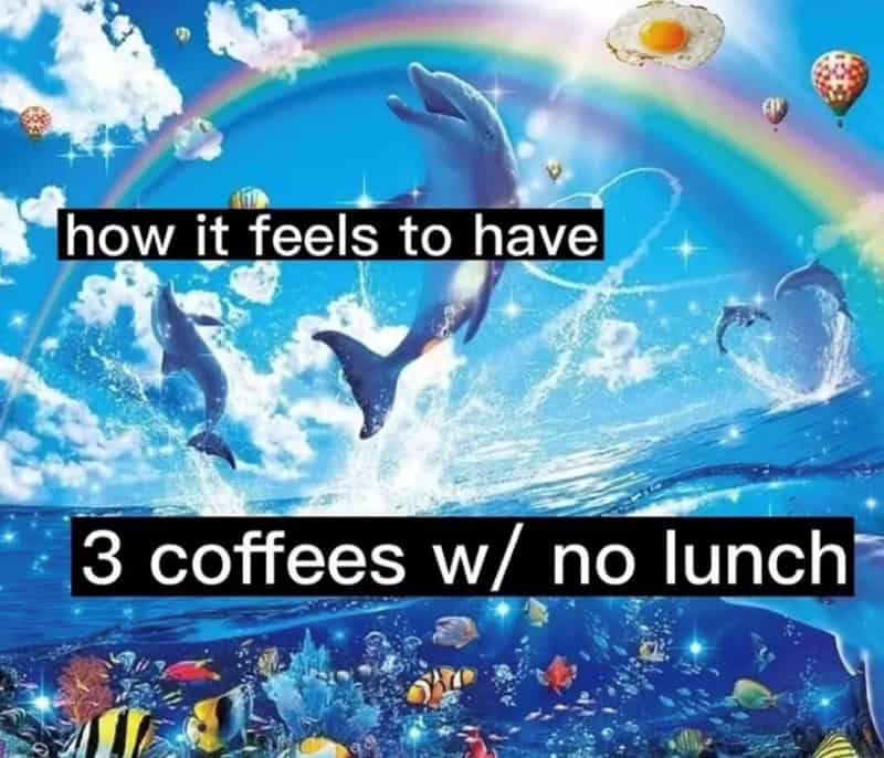 lunch memes, food memes, Meal prep memes, Snack memes