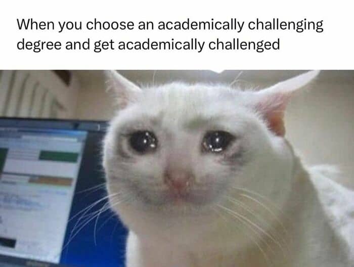 When you choose an academically challenging degree and get academically challenged