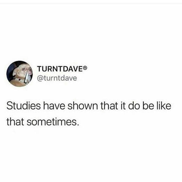 meme dump, funny memes, hilarious memes, meme collection, internet humor