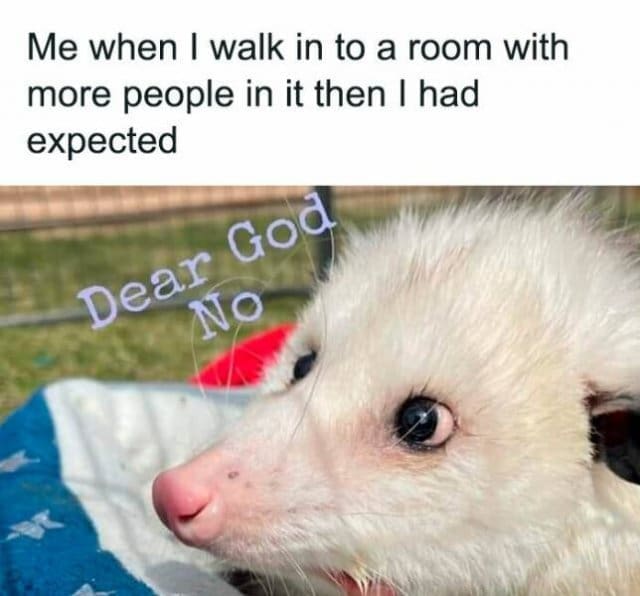 meme dump, funny memes, hilarious memes, weekend memes, Saturday memes, lazy day memes, everyday memes, life memes