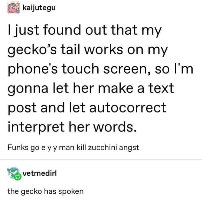 meme dump, funny memes, hilarious memes, Sunday memes, viral memes, internet humor, meme collection, trending internet jokes, viral content