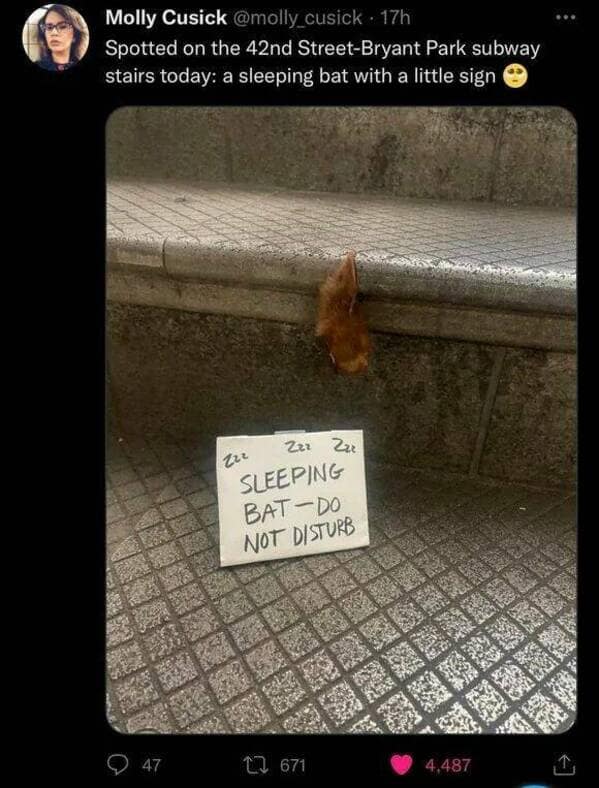 meme dump, hilarious memes, funny memes, Lunch Break Humor, Afternoon Pick-Me-Up Memes, Funny Work Memes, Hilarious Intermission, Midday Laugh Attack, Workday Comedy Collection