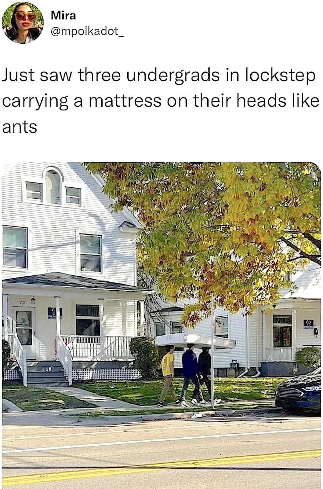 meme dump, funny memes, hilarious memes, internet humor, lunch break laughs, meme gallery