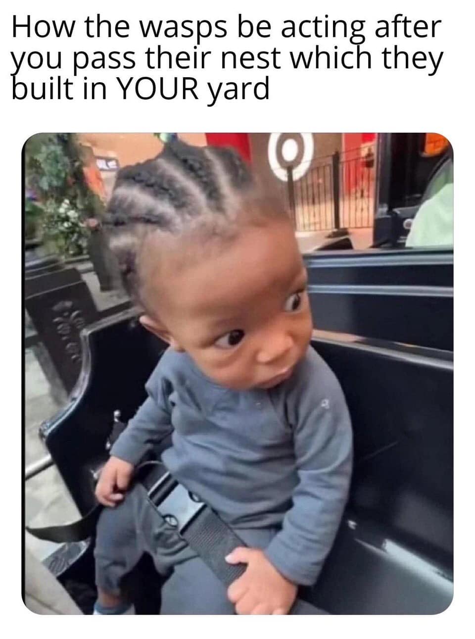 meme dump, funny memes, hilarious memes, meme collection, laughter compilation, humor dump