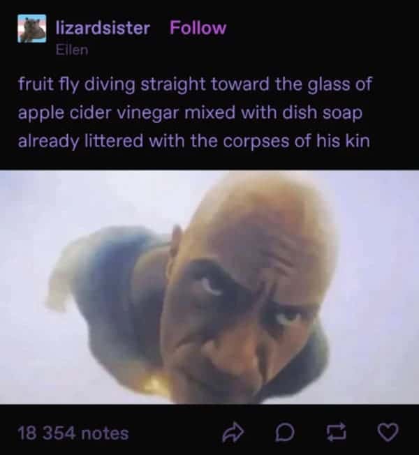 meme dump, funny memes, hilarious memes, Sunday memes, viral memes, internet humor, meme collection, trending internet jokes, viral content