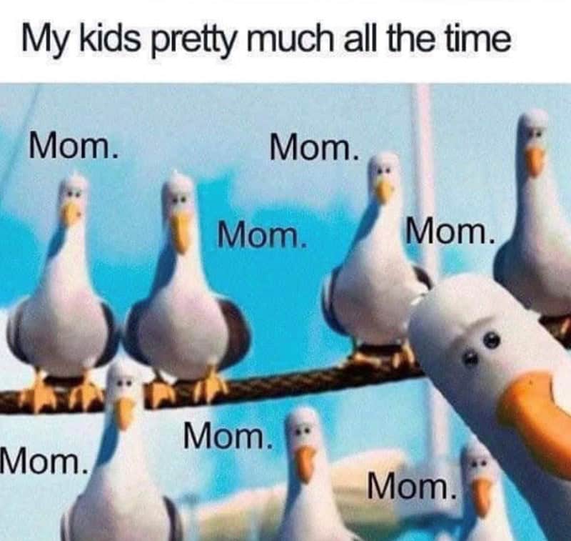 mom memes, motherhood humor, parenting jokes, funny mom moments, mother memes, mommy jokes, parental humor