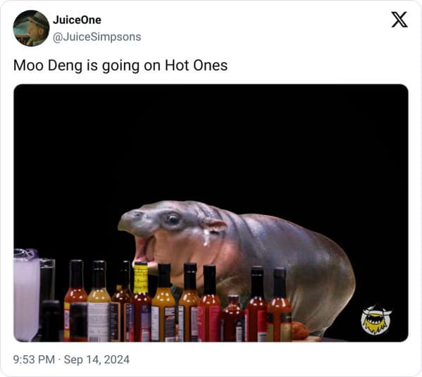 Moo deng memes, moo deng, Pygmy hippo memes
