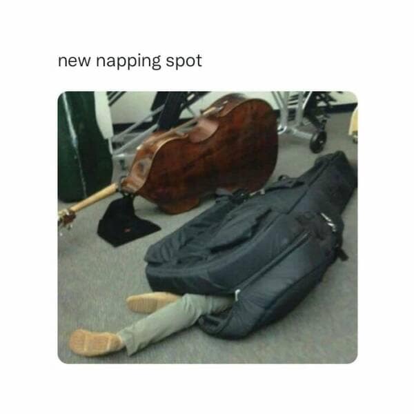 music memes, Funny Song Memes, Song Parodies, Hilarious Album Covers, Lyrical Jokes