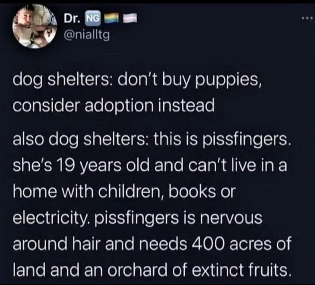 oddly specific memes, niche memes, specific interest memes, obscure online jokes, targeted humor memes