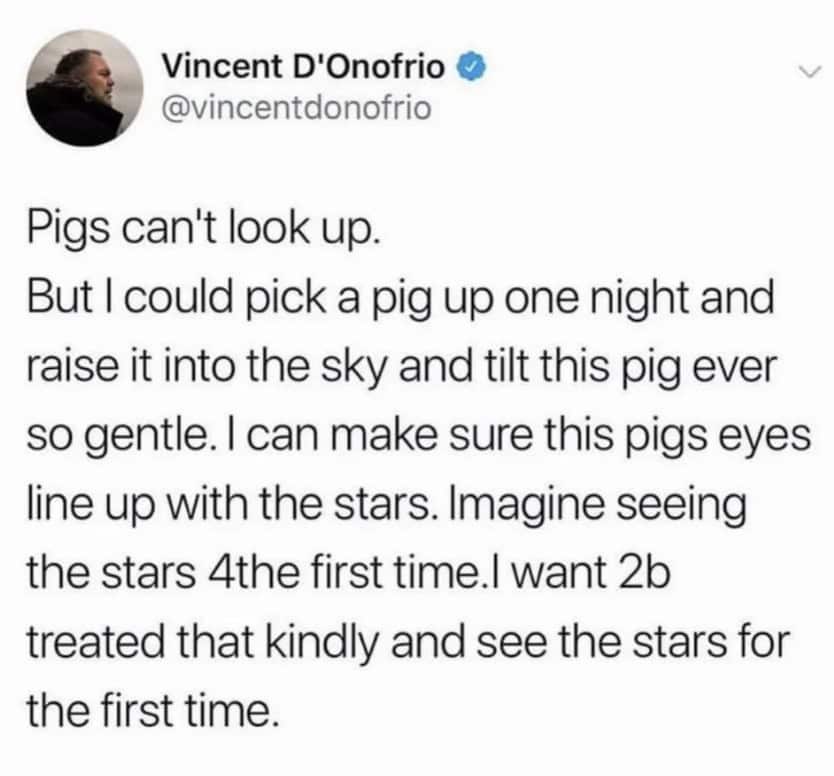 oddly specific memes, niche memes, specific interest memes, obscure online jokes, targeted humor memes