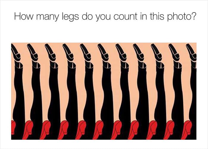How many legs do you count in this photo?